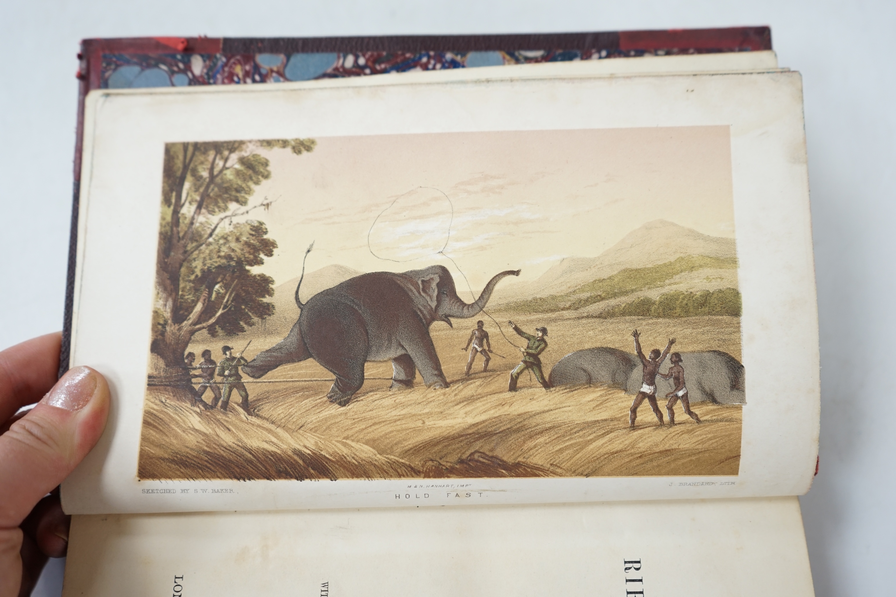 Baker, Sir Samuel White - The Rifle And The Hound in Ceylon, 1st edition. 6 chromolithographed plates. inc. frontis., few wood eng. illus., contemp. red half calf gilt, 8vo., Longman, Brown, Green and Longmans. 1854.